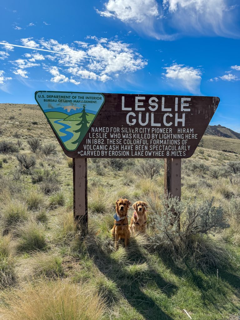 Nala and Oakley sitting beneath the Leslie Gulch BLM sign in Eastern Oregon